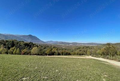 Teren intravilan zona Bran-Tohanita, judetul Brasov intre 500 si 1000 mp la 5 km de Moieciu - 7