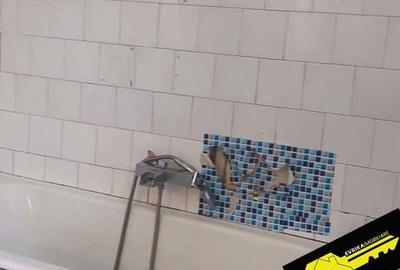 Casă cu 4 camere cu Teren 720 Mp în Central - 11