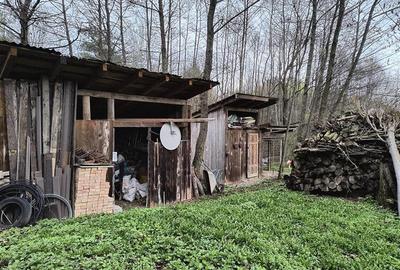 Oportunitate! Casa deosebita cu 2980 mp teren in Vulcan, Brasov - 47