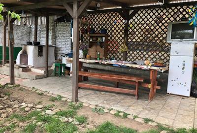 Casă cu 4 camere în Ireasca - 6