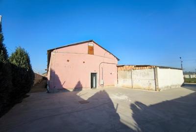 Hala industriala - productie / depozitare, suprafata utila 517 mp, Palota - 3
