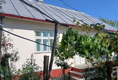 Casa+teren de vanzare in Adancata, Suceava - 8