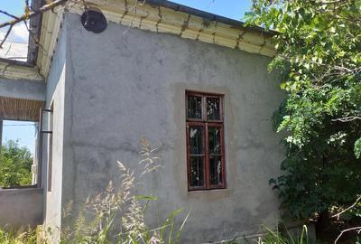 Casă cu 3 camere cu Teren 2600 Mp în Dioști - 2