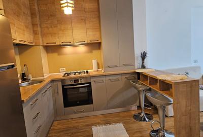 Iancu Nicolae/Residence 5 /Studio elegant / - 9