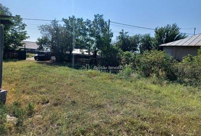 Casa Bila Ghimpati- Giurgiu - 15