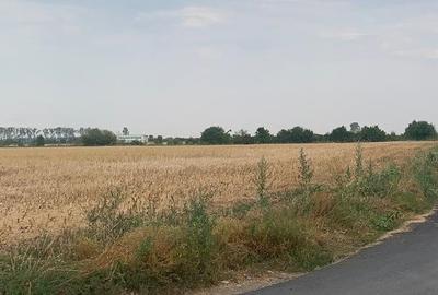 Vanzare  Teren Intravilan  Stefanesti DJ200 - 3