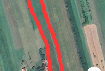 Teren de 5501 mp, în Vârciorog - 2