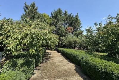 Izvorani - Snagov - 4