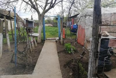 Casă cu 3 camere în Balabancea - 3