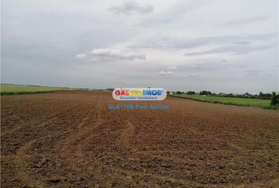 Teren de 7400 mp, în Balotești