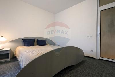 Apartament 2 camere de inchiriat Zona Octavian Goga Bd. Unirii Apartament 2 camere de inchiriat Zona Octavian Goga Bd. Unirii - 11