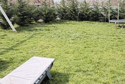 Casă cu 4 camere cu Teren 587 Mp în Sânmihaiu Român - 8