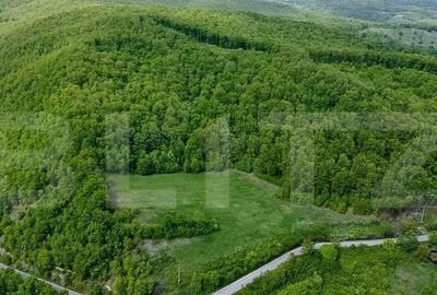 Teren superb, in mijlocul naturii, 18.360 mp, la Carji?i - 8