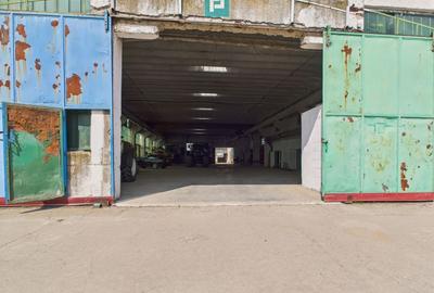 Spațiu industrial, de 6,179 mp, în Orțișoara - 6