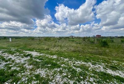 Teren de 1000 mp, în Sânmartin - 6