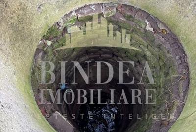 Oportunitate investitie: două reședințe de vacanță/ cabane 3940mp teren - 17