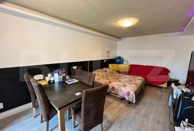 Apartament de vanzare, cu 1 camera, 44 mp, zona Sensul Vechi - 4