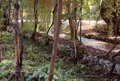 Casa Arcani langa Jales - 3