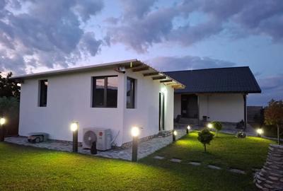 Casă cu 4 camere cu Teren 500 Mp în Trivale - 9