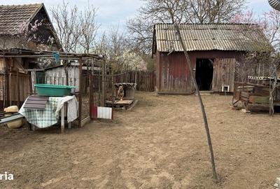 Casă cu 3 camere cu Teren 1798 Mp în Pișcolt - 2