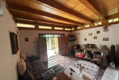 Casă cu 4 camere cu Teren 1916 Mp în Homorâciu - 5