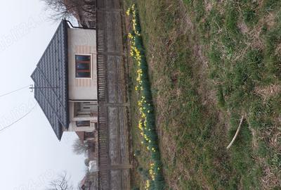 Casa de vanzare Valea Vinului - Satu Mare - 1