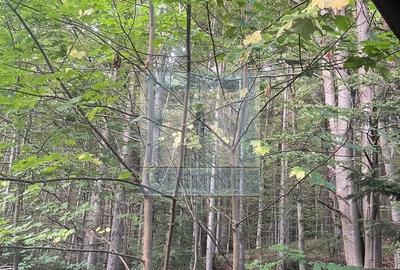 Casa/Vila de vanzare in Predeal - 30