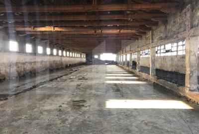 Ferma de vanzare in jud. Covasna, suprafata teren 4824 mp