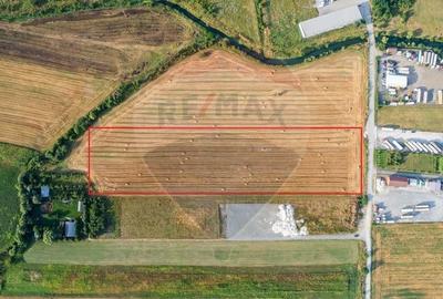 Teren agricol extravilan de 20000 mp, în Gai - 6