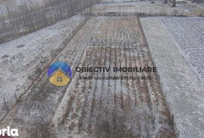 Casă cu 2 camere cu Teren 2089 Mp în Central - 4
