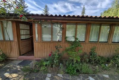 Cabana de lemn cu fundatie 86 mp+ livada pomi fructiferi+teren 847 mp - 3