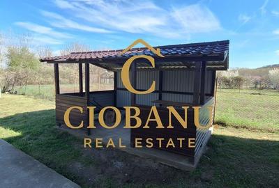 Casă cu 3 camere în Bucovăț - 12