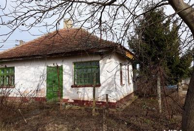 Casă cu 2 camere cu Teren 2300 Mp în Galoșpetreu - 2
