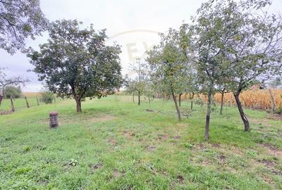 Casa 2 camere, Teren 1525 mp Loc. Tiream , Str. Coloniei Nr.44-Jud. Satu Mare - 20