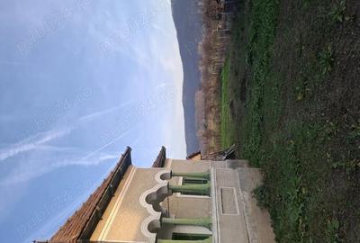 Casă în Pleșoiu (Nicolae Bălcescu) - 7