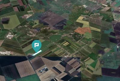 Teren extravilan de 22500 mp in Varia?ul Mare - 3