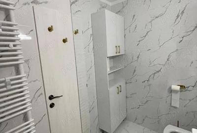 Apartament cu 2 camere decomandat în Colentina - 3