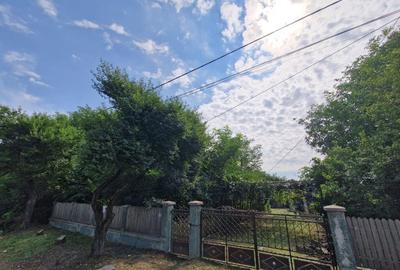 Teren 5.725 m Tomsani, Dambovi?a, la drum jude?ean - 1