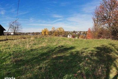 Teren de 990 mp, în Cacica - 2