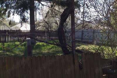 Casă cu 4 camere în Moldoveni - 3