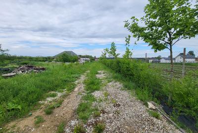 Vanzare Teren Intravilan, sat Balteni, 1000 mp - 3