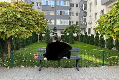 Vand apartament cu 2 camere NU studio - 9