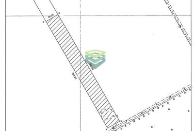 Teren de vanzare Padurea Baneasa 7.500 mp - 9