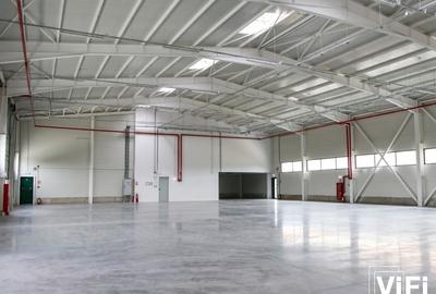 Spațiu industrial, de 1,200 mp, în Albota - 2