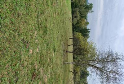 Casă în Vârfurile - 4