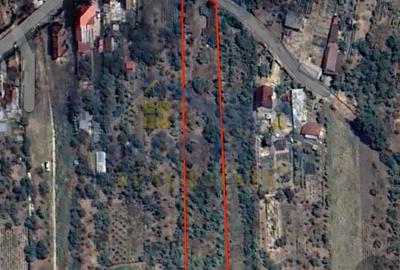 Teren Construcții intravilan de 3600 mp, în Cocoșești - 4