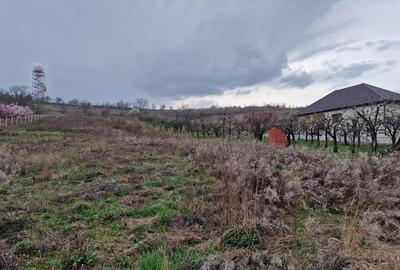 Teren intravilan de 498 mp, în Oncea - 2