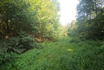 Spațiu comercial, în Central - 7