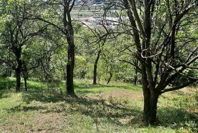 Teren de 8540 mp, în Breaza - 3
