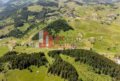 Teren Fundatica intravilan 4500 mp - 5